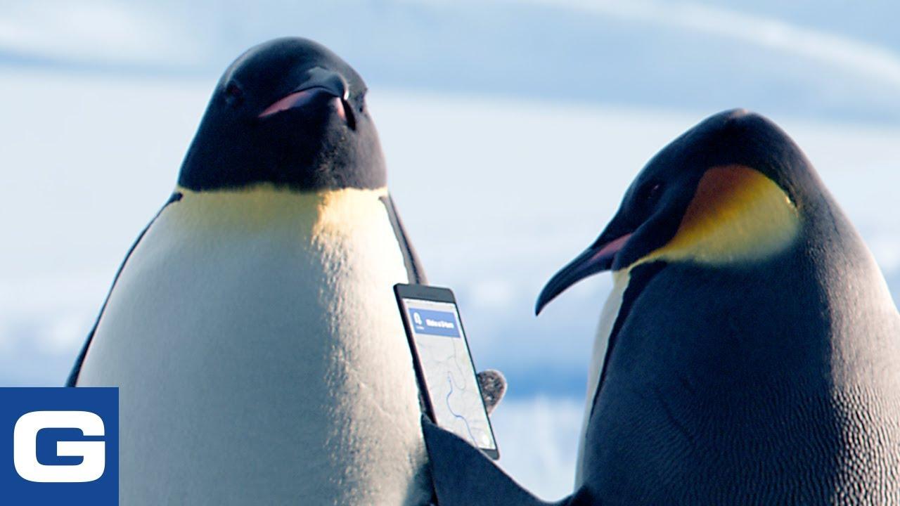 Вибратор Пингвин Форум