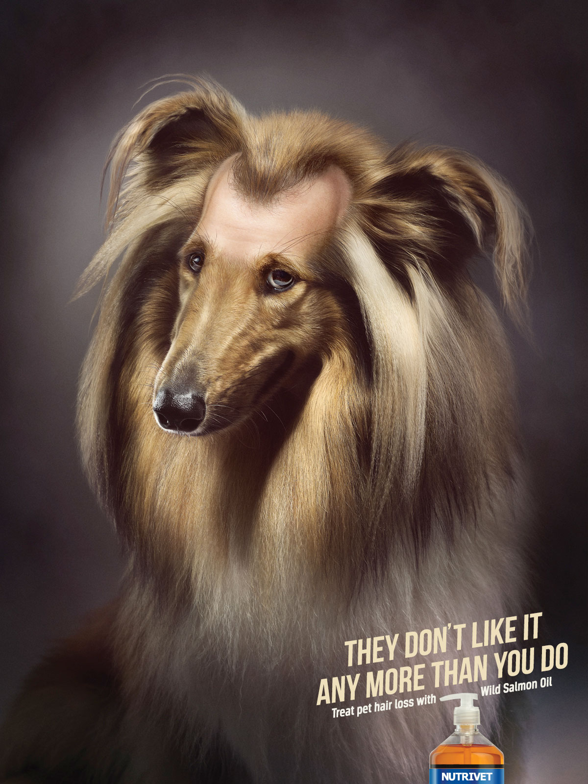 Nutrivet Print Advert By Publicis Dog Ads of the World™
