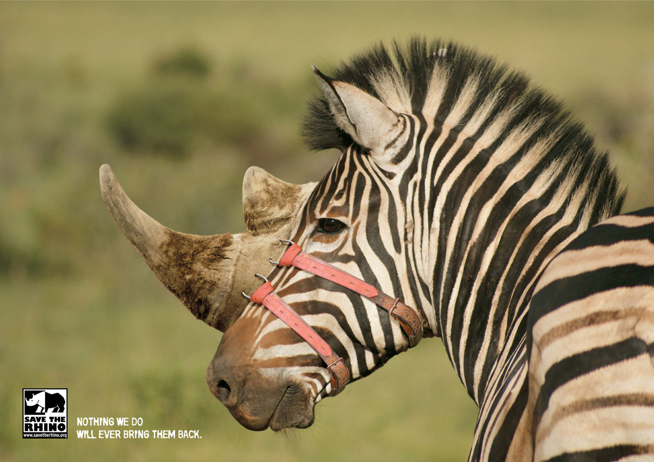 Save the Rhino Print Advert By Stick Zebra Ads of the World™