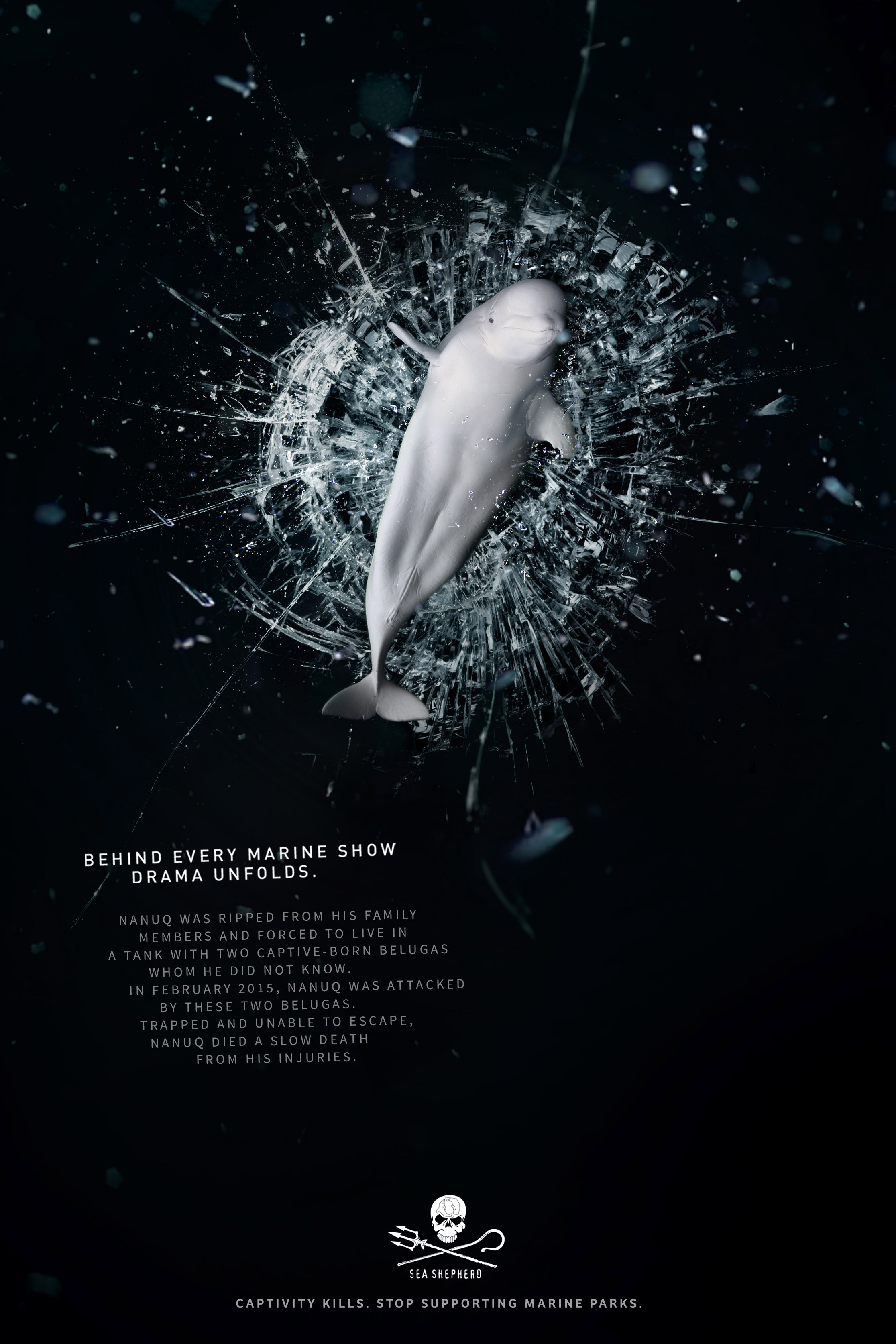 Sea Shepherd Conservation Society Print Advert By : Nanuq | Ads of the