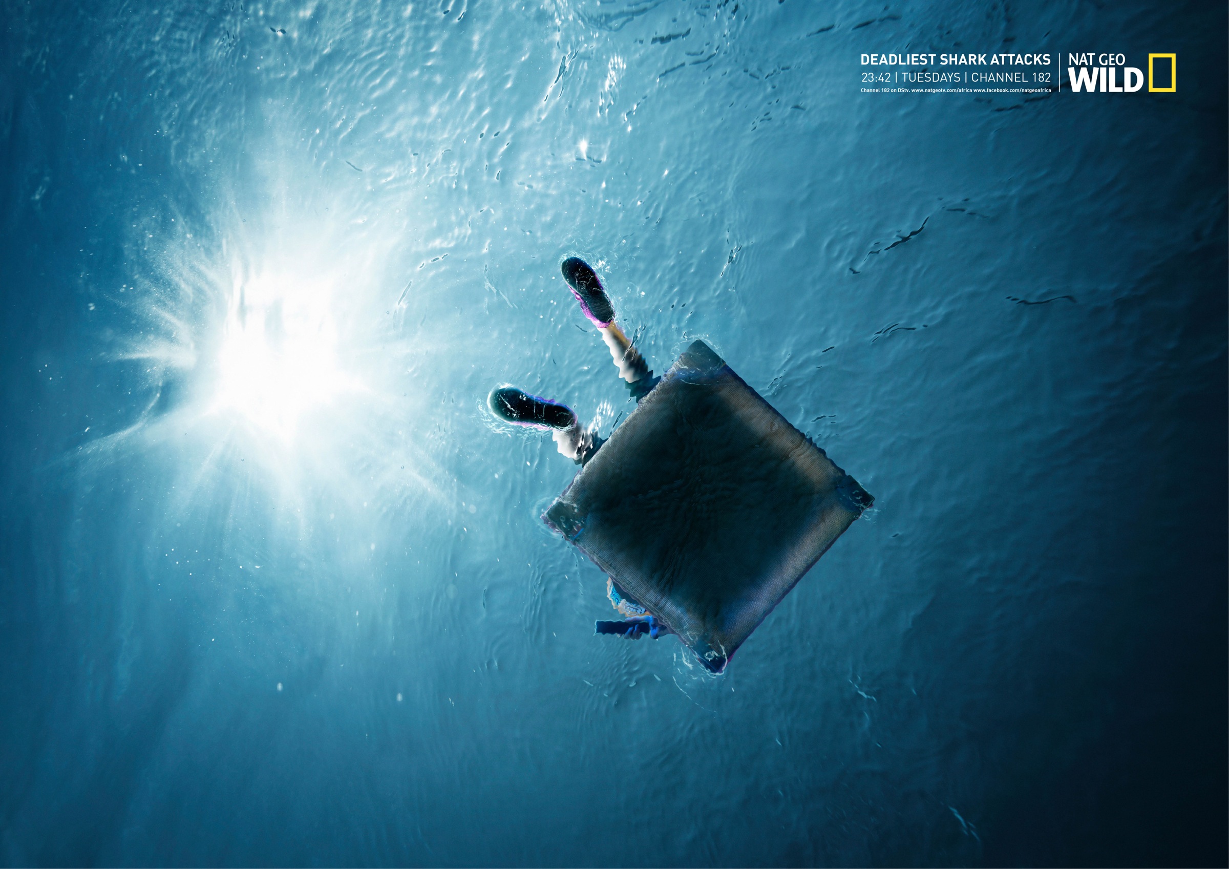 National Geographic Print Advert By Ireland / Davenport: Deadliest