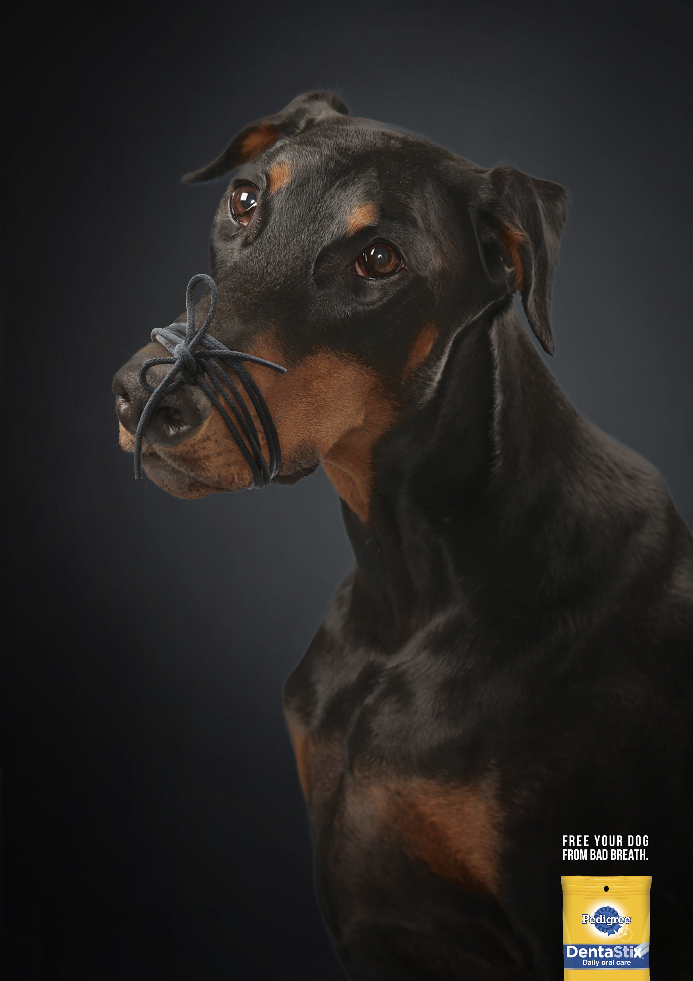 Pedigree Print Advert By Miami Ad School Free Your Dog, 2 Ads of the