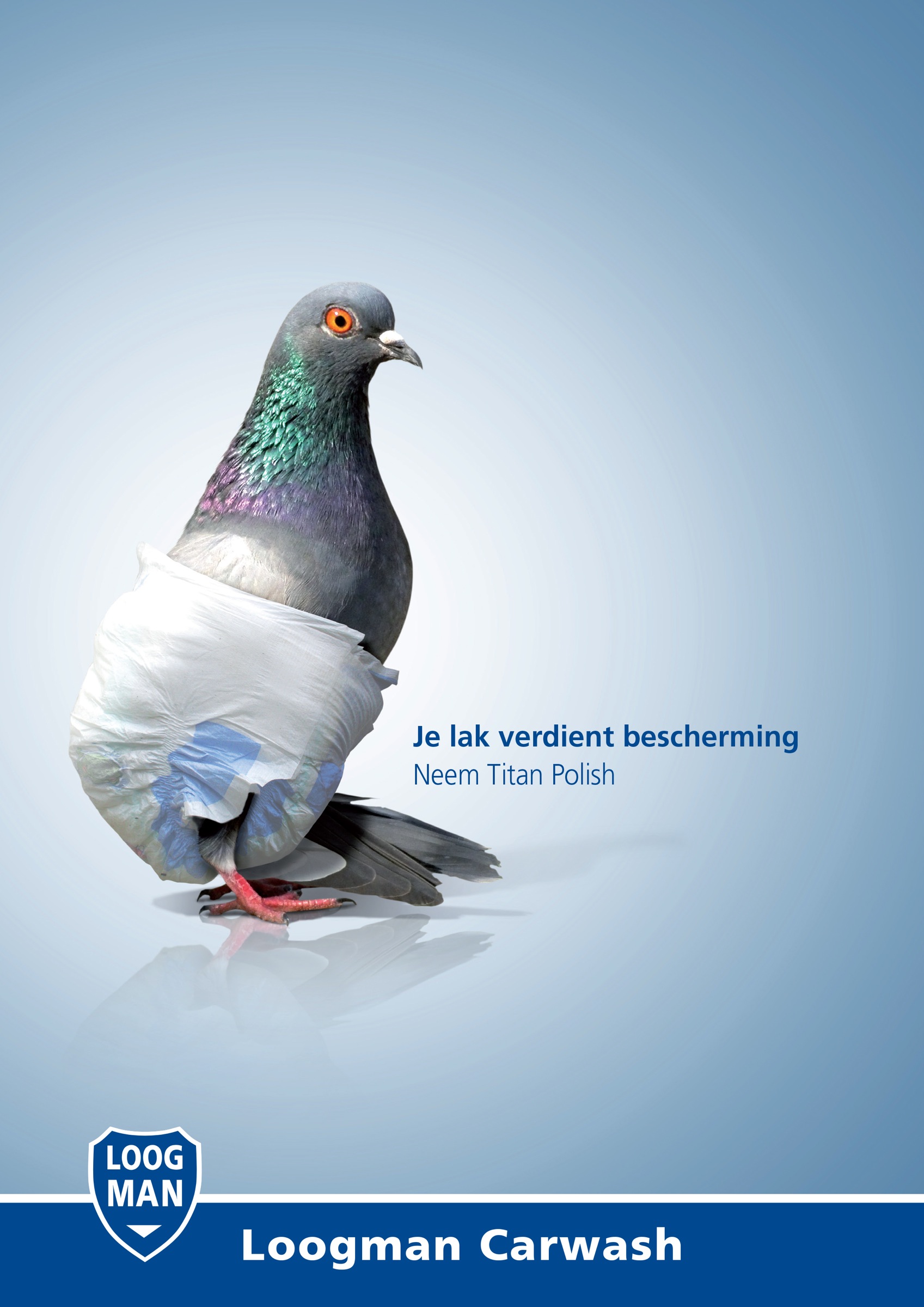 Did Progressive Just Change The Game With This Pigeon Ad? - md7v1f8
