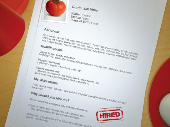 mcdonalds cv rome fontanacountryinn com mcdonalds cv