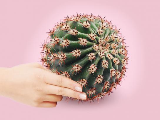 Toca Compartir Es Vivir Print Ad - Cactus