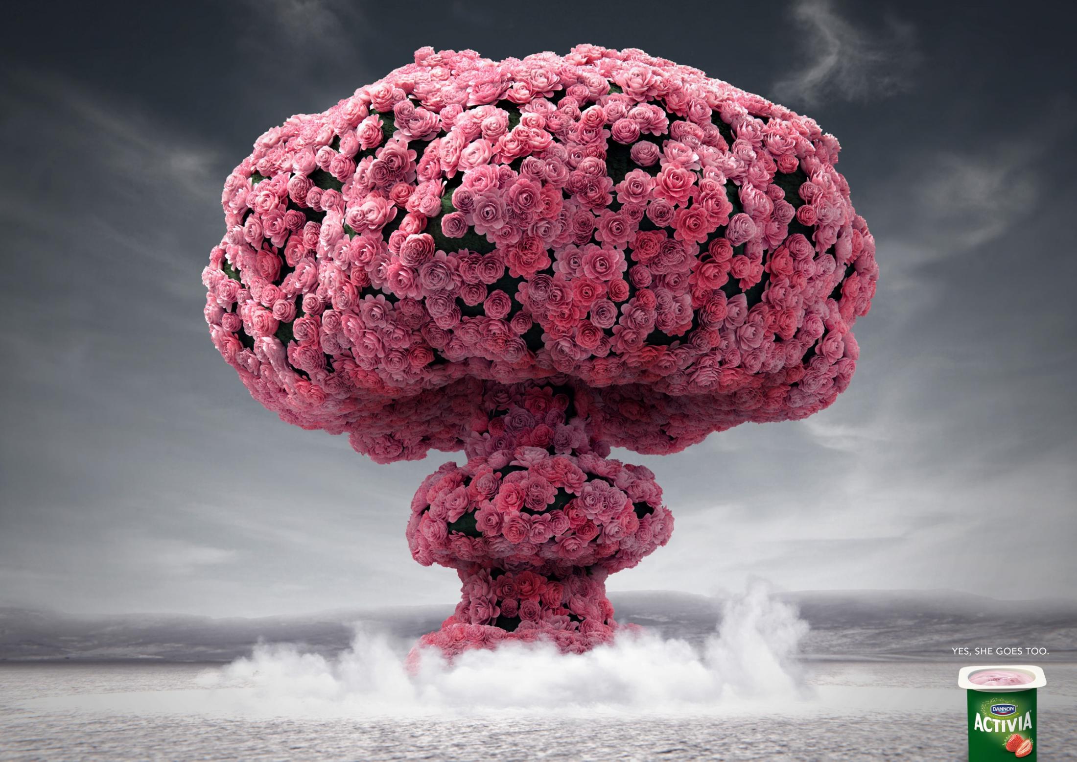 Danone Print Advert By Y&R Flower bomb Ads of the World™