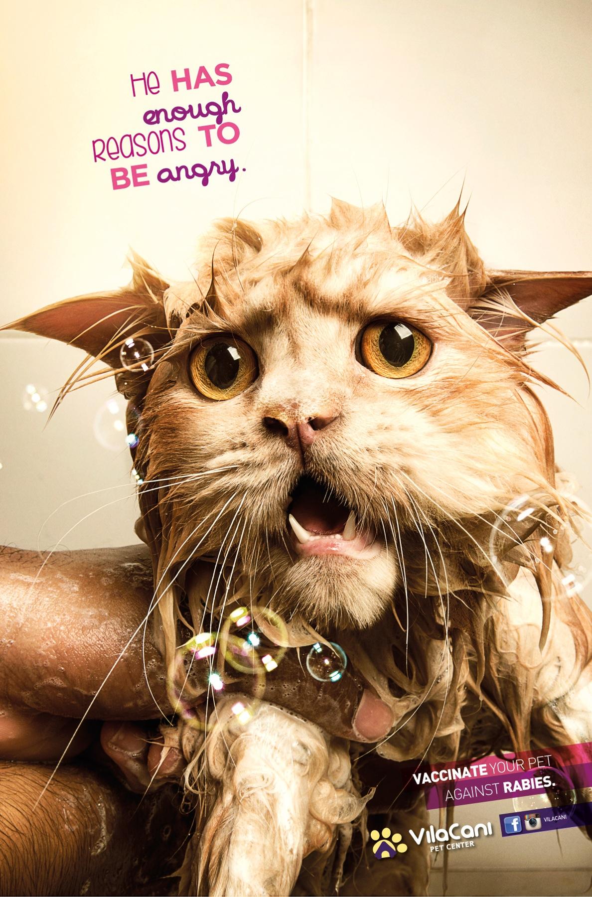 Villa Cani Pet Center Print Advert By Morya: Bath | Ads of the World™