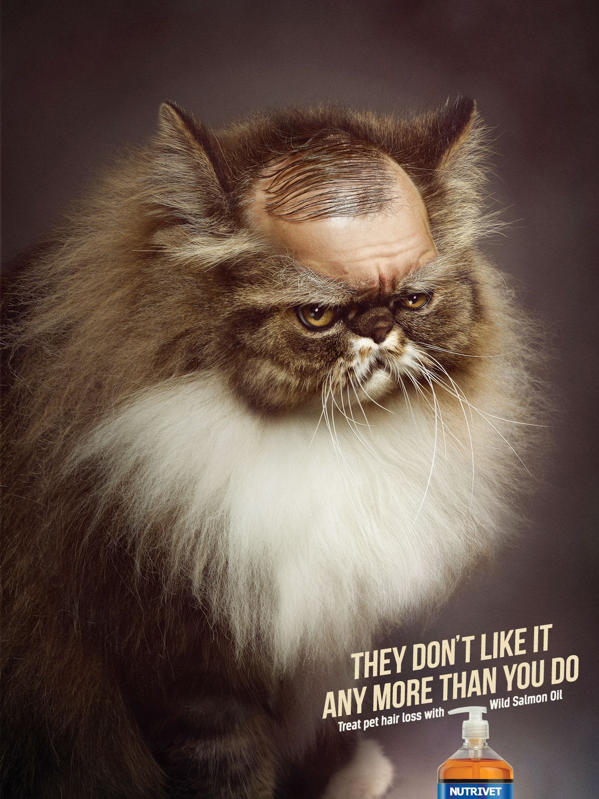Nutrivet Print Advert By Publicis Cat Ads of the World™