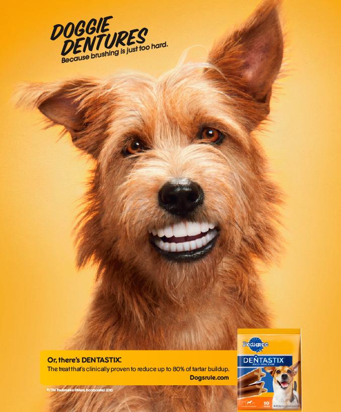 pedigree dentastix print advert by tbwa doggie dentures ads of
