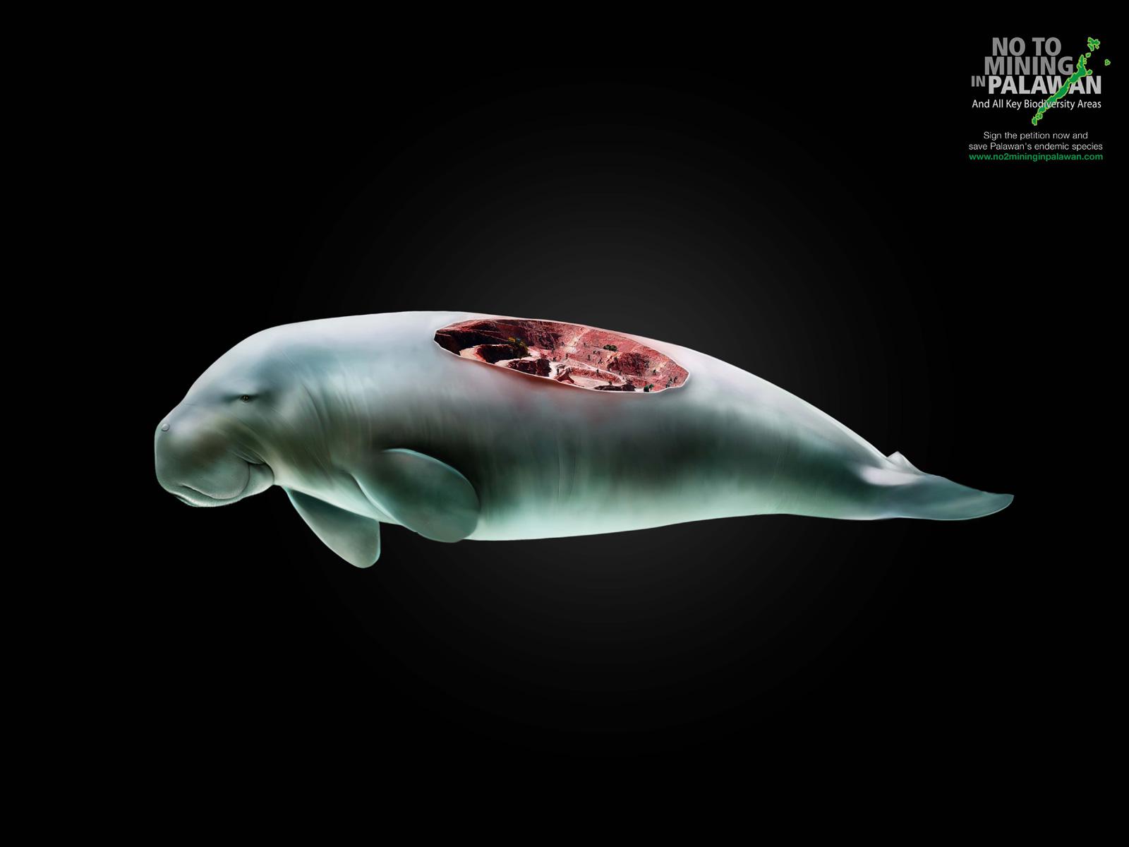 No To Mining In Palawan Print Advert By DM9 JaymeSyfu: Wounds, Dugong