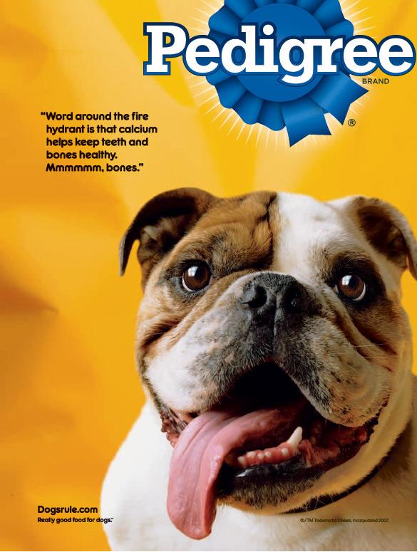 Print Advert By : English Bulldog | Ads of the World™