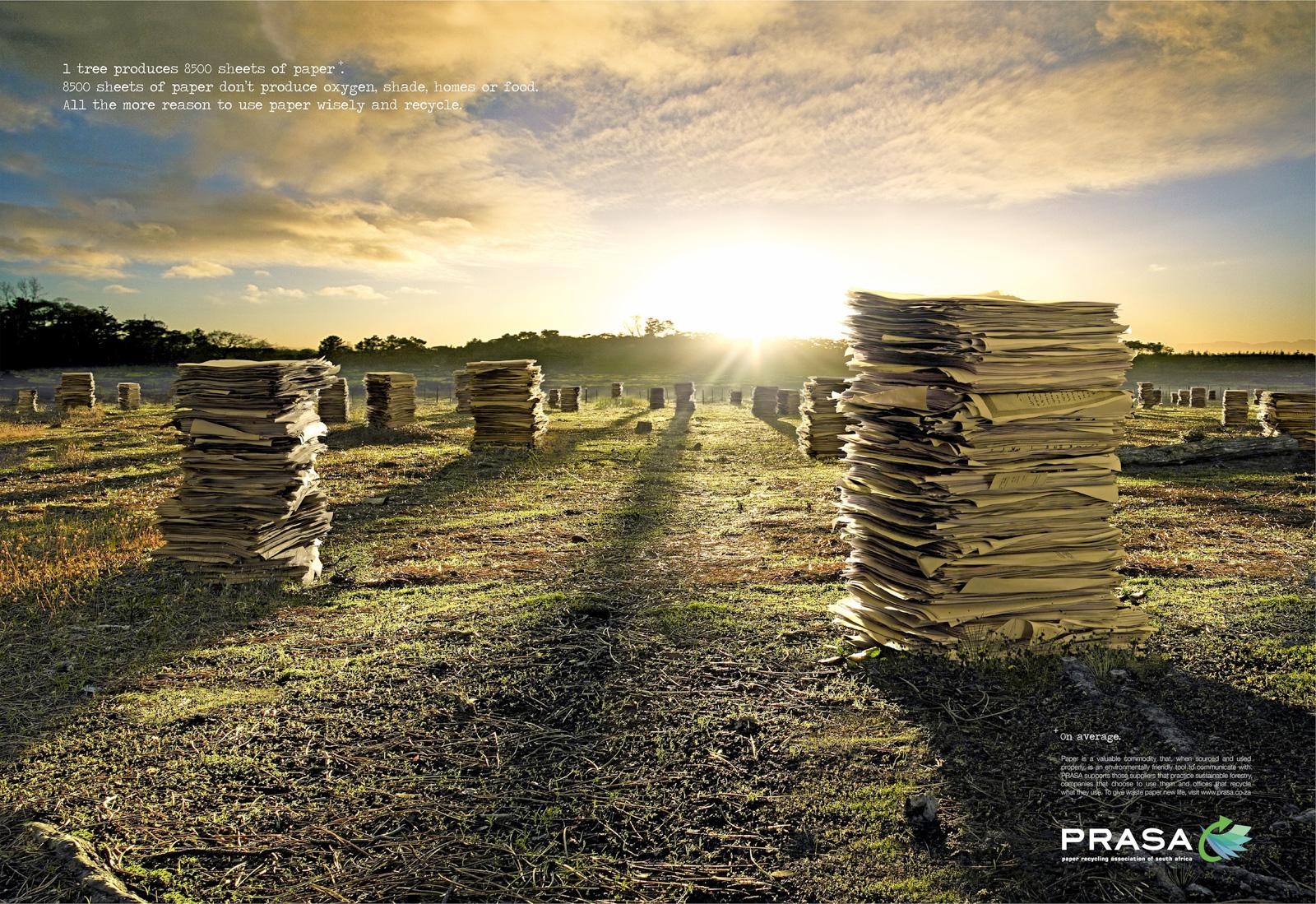 prasa print advert by tbwa paper forest ads of the world how many sheets of paper in a tree