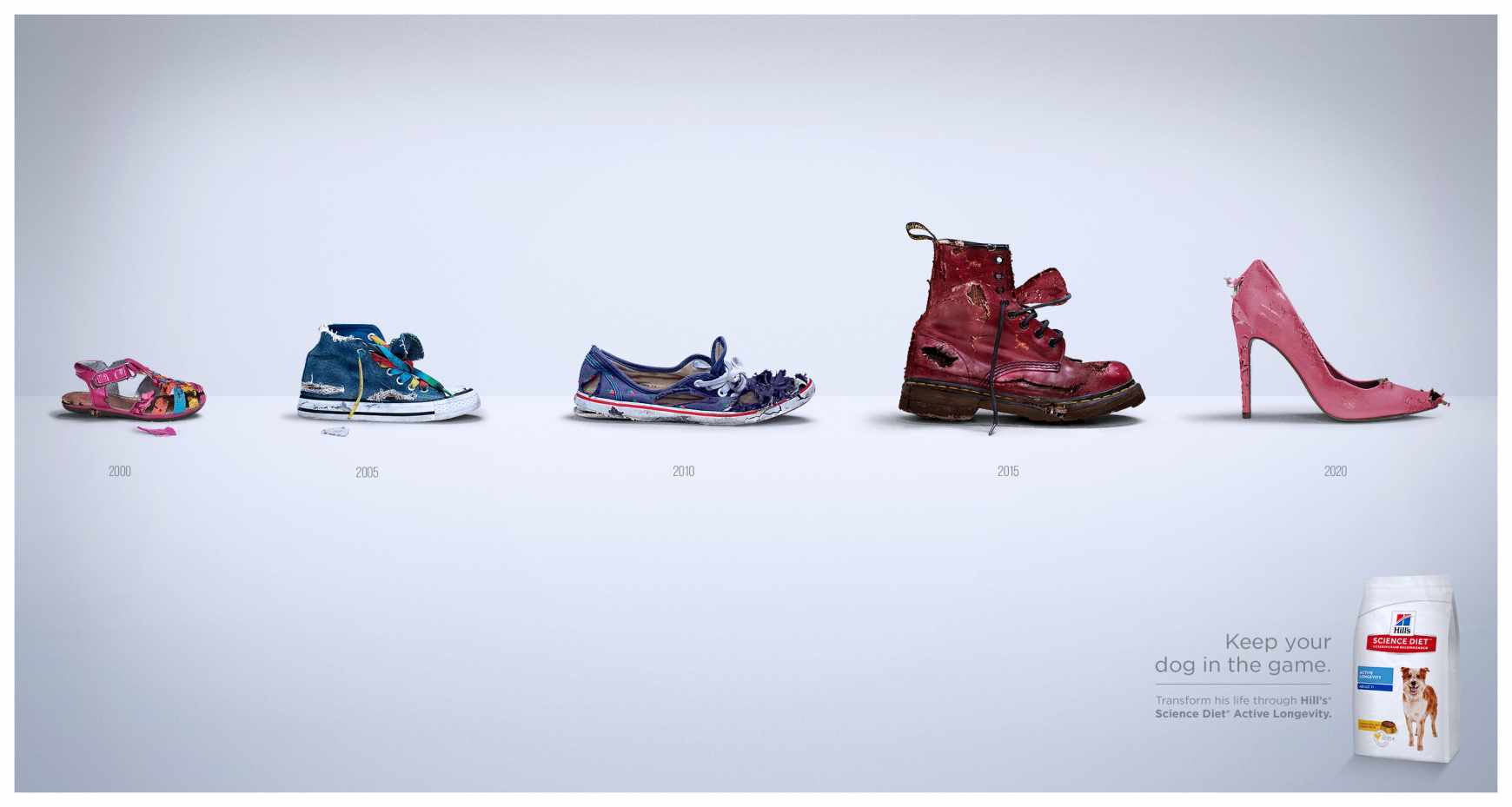 Hill's Pet Nutrition Print Ad - Keep Your Dog In The Game - Shoes 