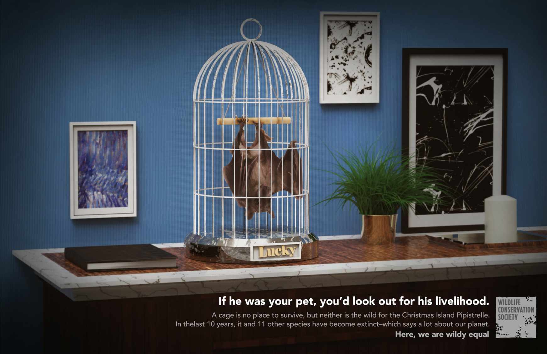 Wildlife Conservation Society Print Ad - Lucky 