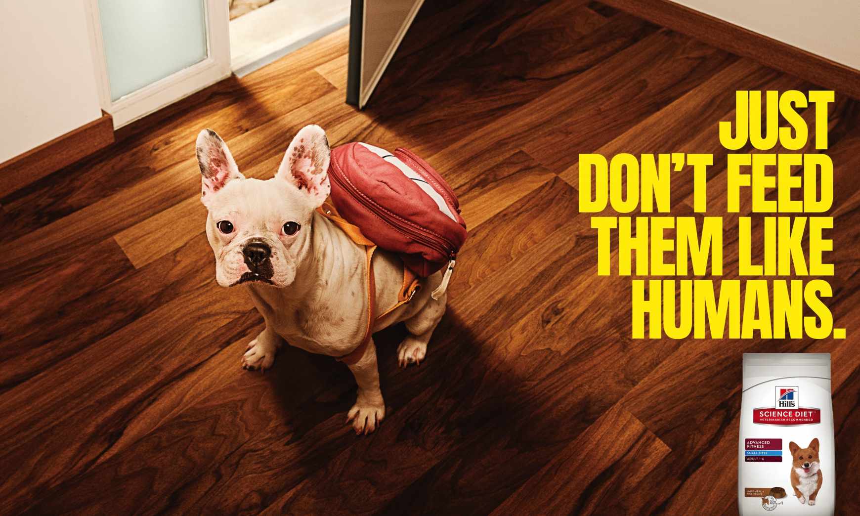 Hill's Print Ad - Backpack 