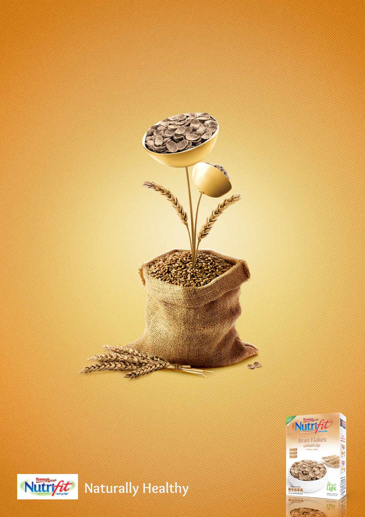 Nutrifit Print Ad - Naturally Healthy, 4