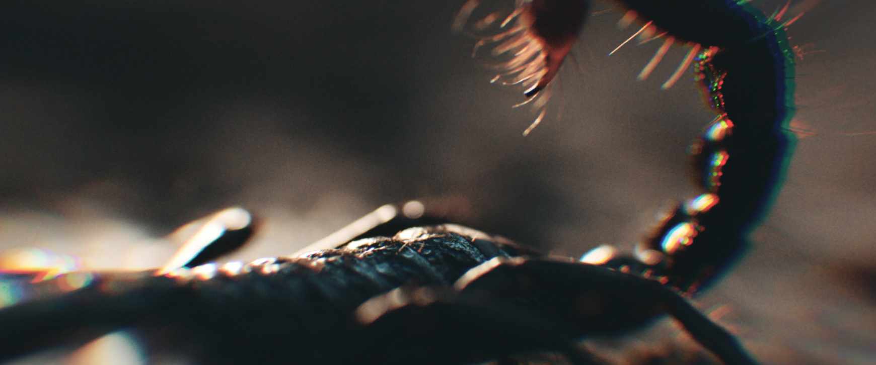 Abarth Film Ad - Wasteland