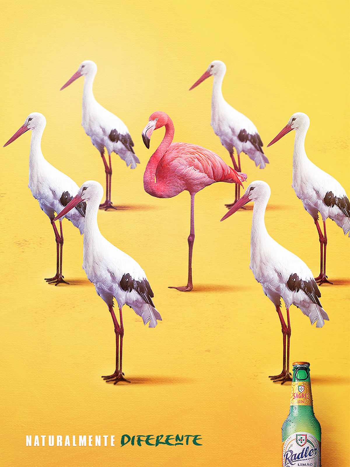 Sagres Radler Print Ad - Regular is Boring, 1 