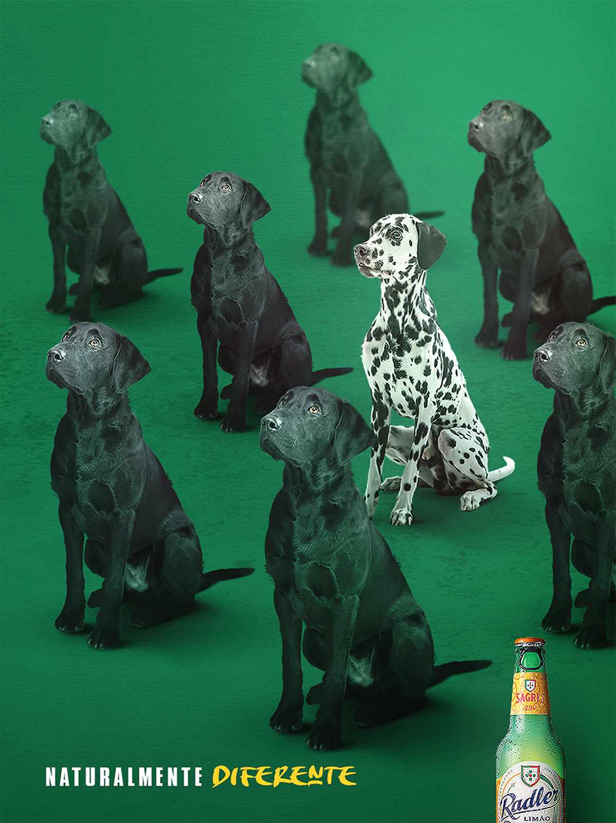 Sagres Radler Print Ad - Regular is Boring, 2 
