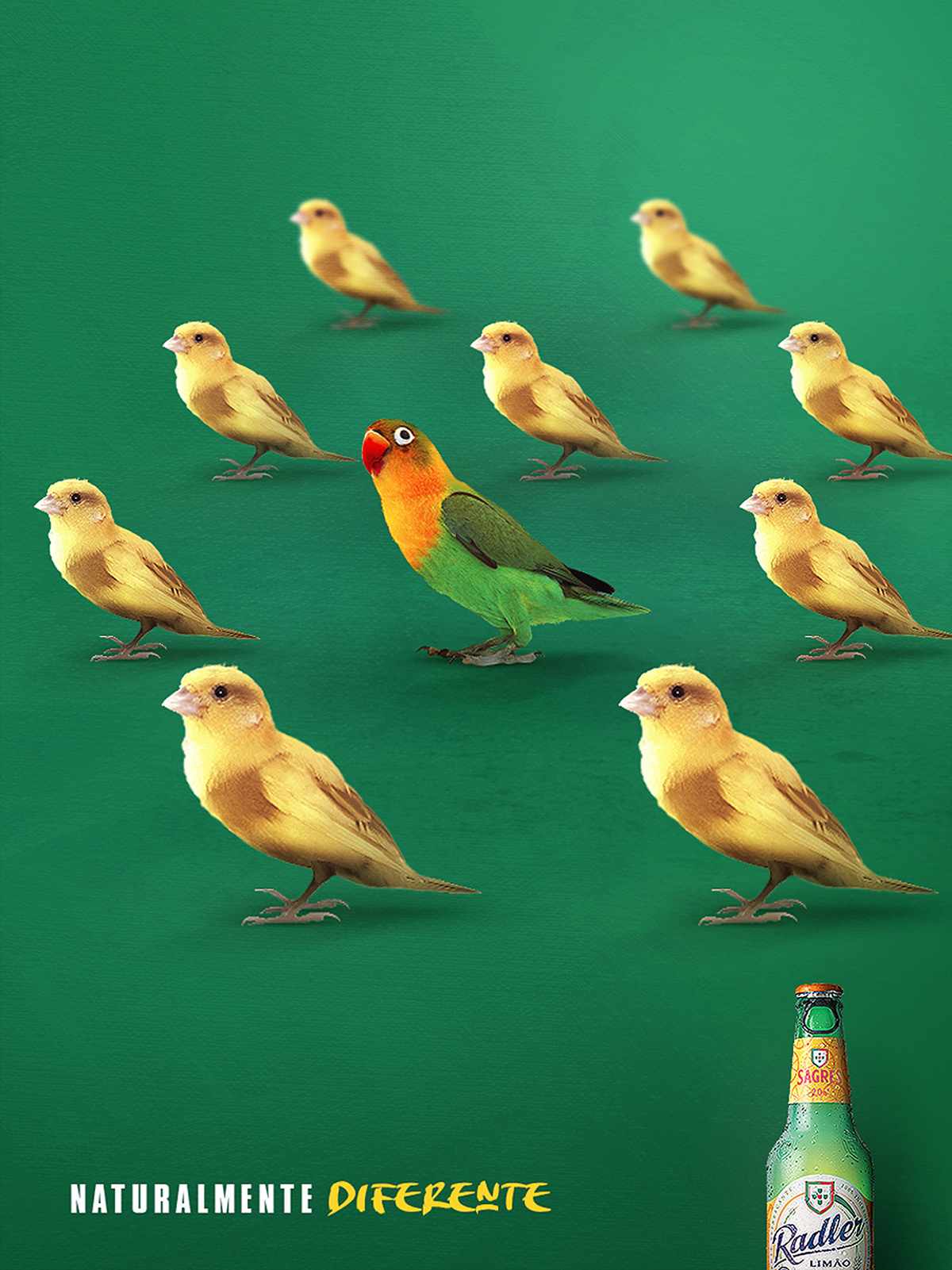 Sagres Radler Print Ad - Regular is Boring, 4 