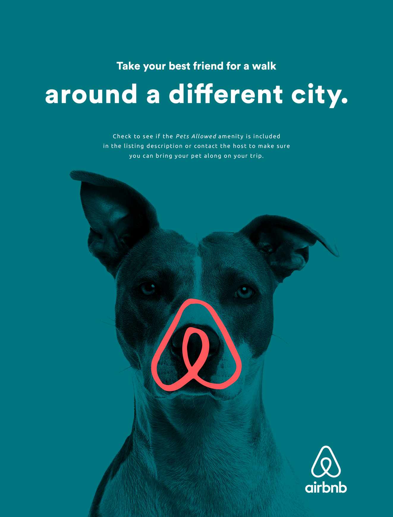 Airbnb Outdoor Ad - Best Friend, 2
