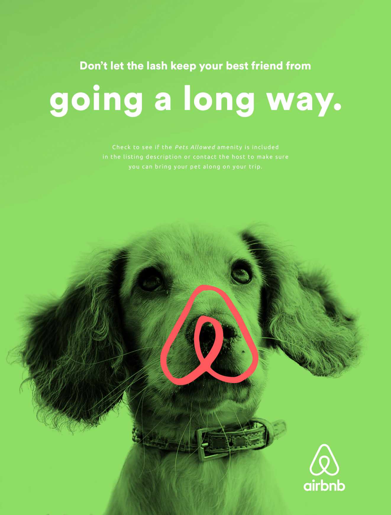 Airbnb Outdoor Ad - Best Friend, 3