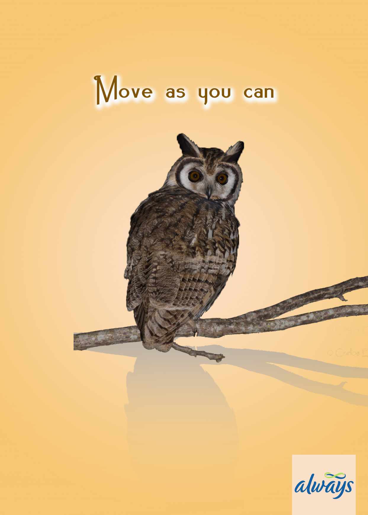 Always Print Ad - Move as You Can, 3