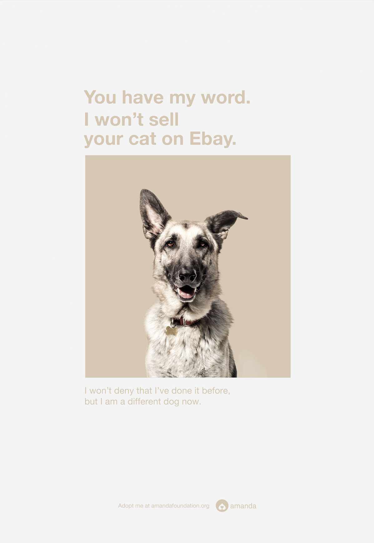 Amanda Foundation Print Ad - German Shepherd