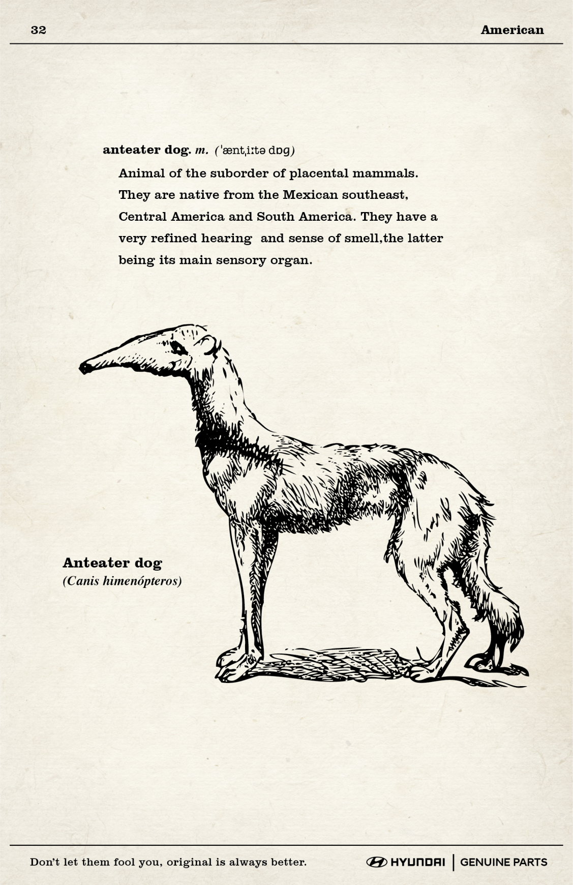 Hyundai Print Ad - Anteater Dog 