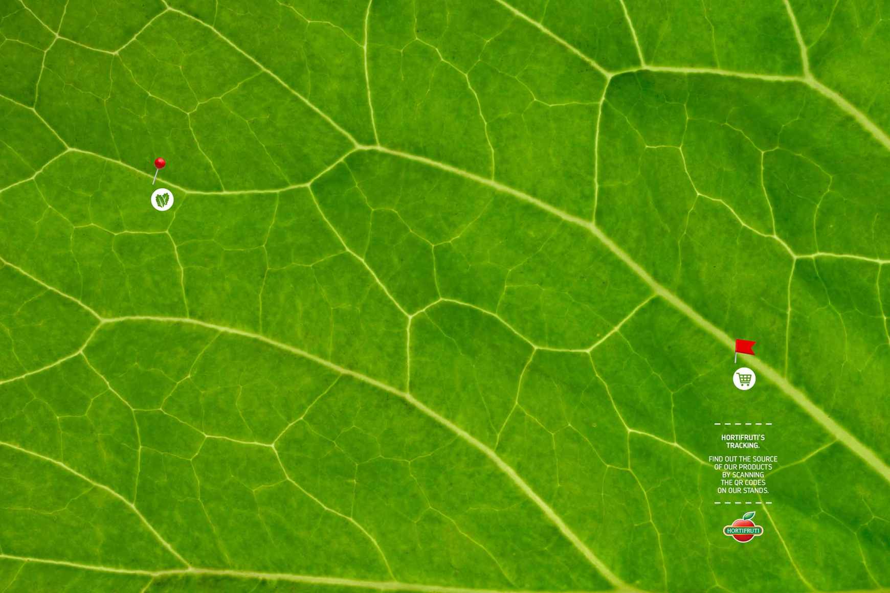 Hortifruti Print Ad - HortiMaps - Cabbage, 1