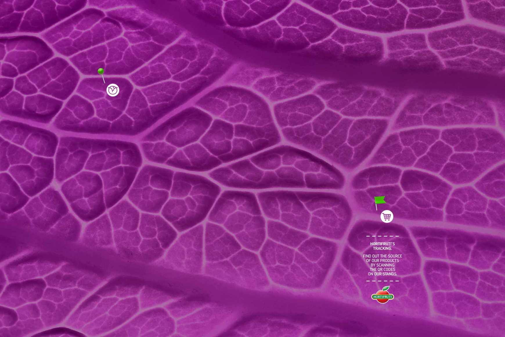 Hortifruti Print Ad - HortiMaps - Cabbage, 2 