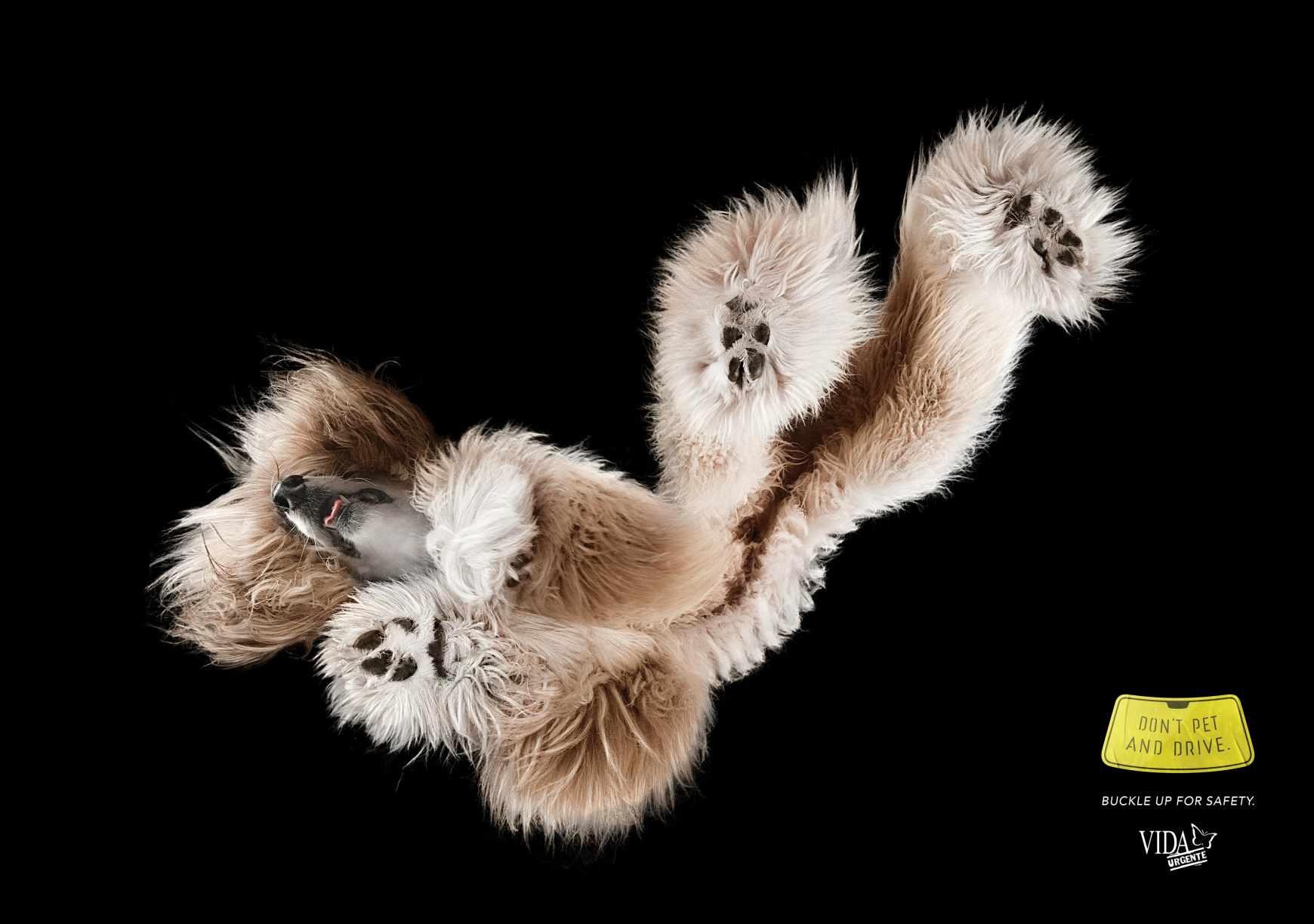 Vida Urgente Print Ad - Don't Pet And Drive, 1 
