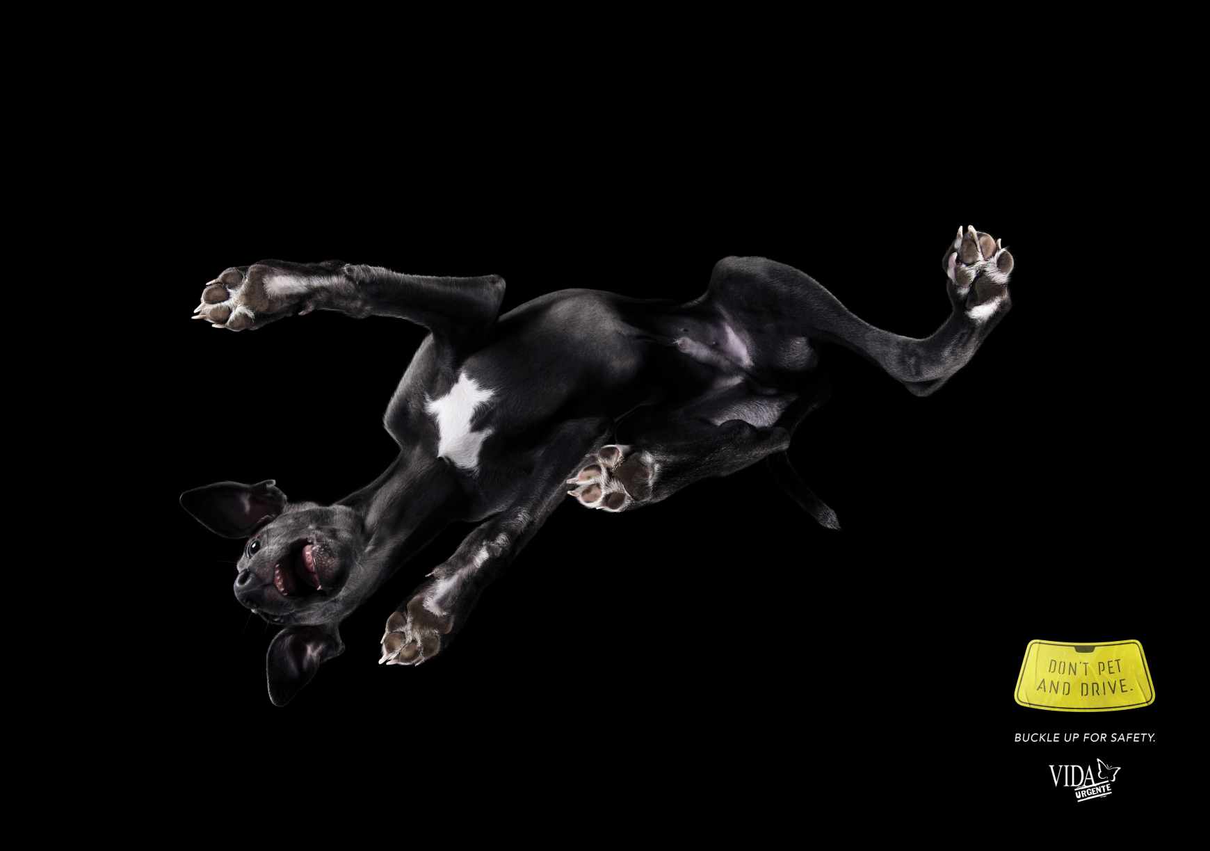 Vida Urgente Print Ad - Don't Pet And Drive, 2