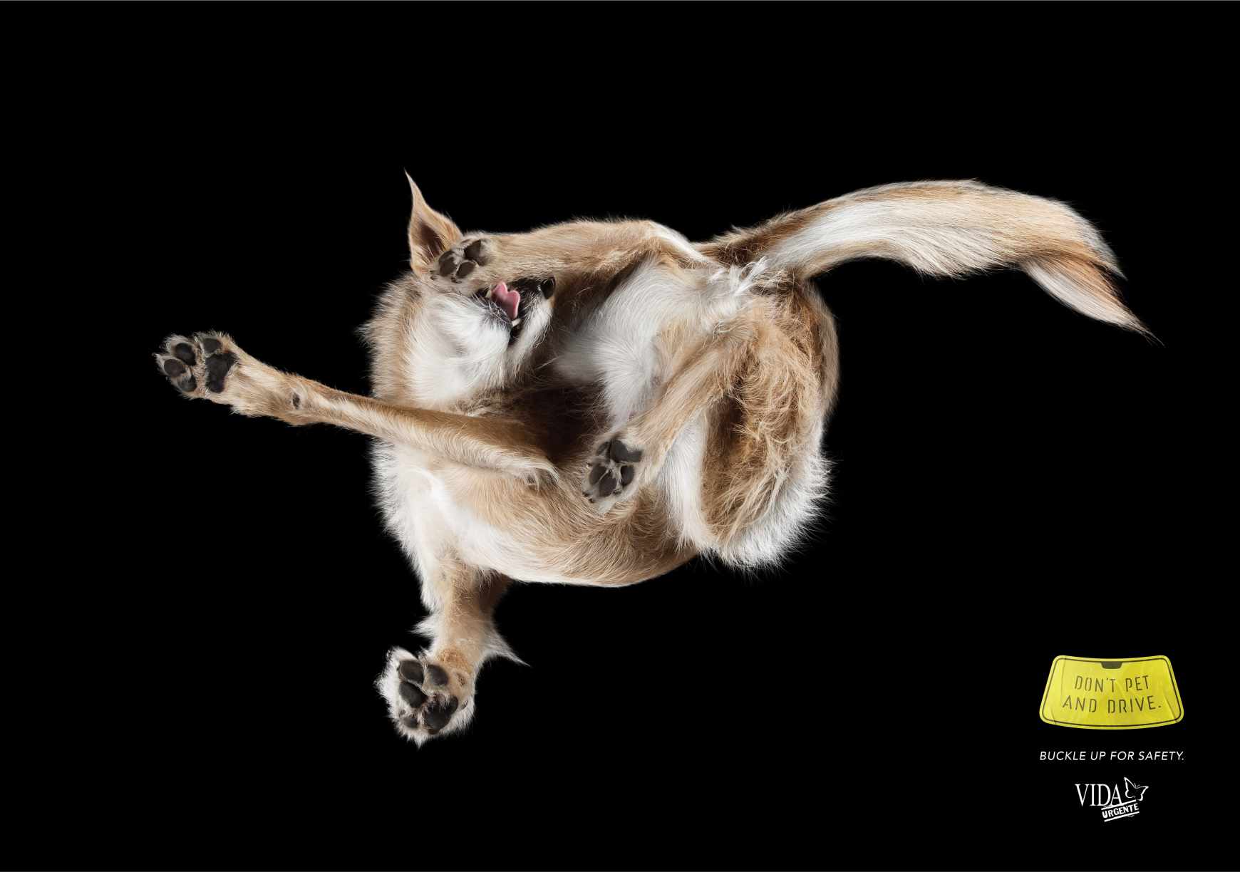 Vida Urgente Print Ad - Don't Pet And Drive, 3