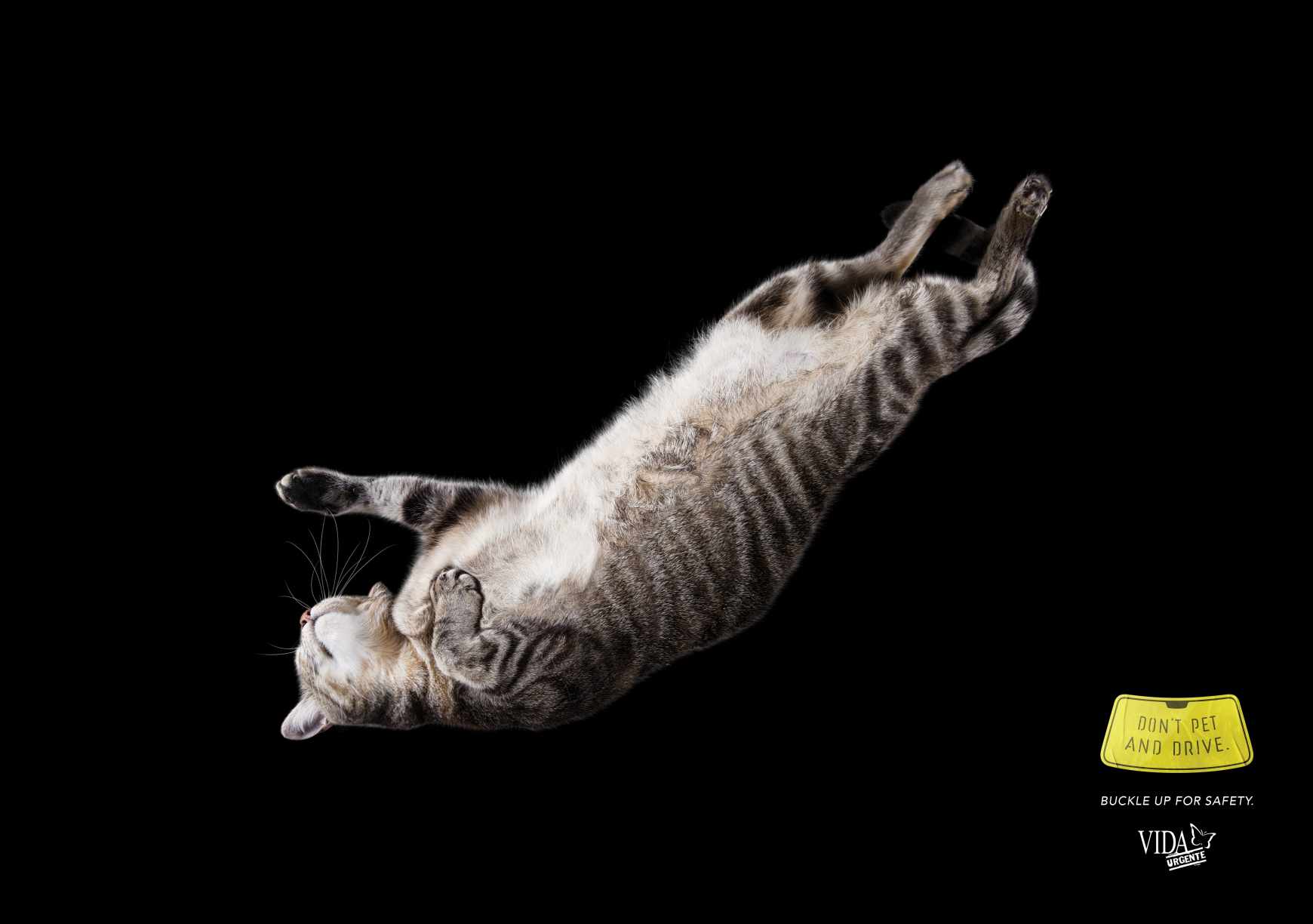Vida Urgente Print Ad - Don't Pet And Drive, 4
