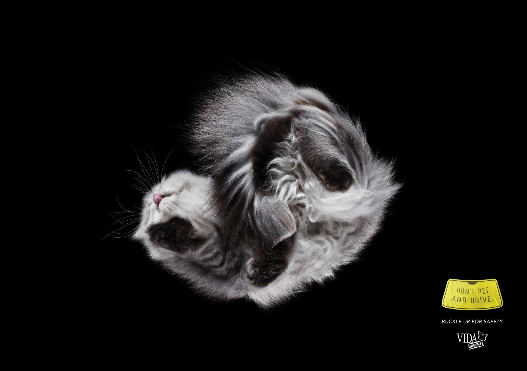 Vida Urgente Print Ad - Don't Pet And Drive, 5