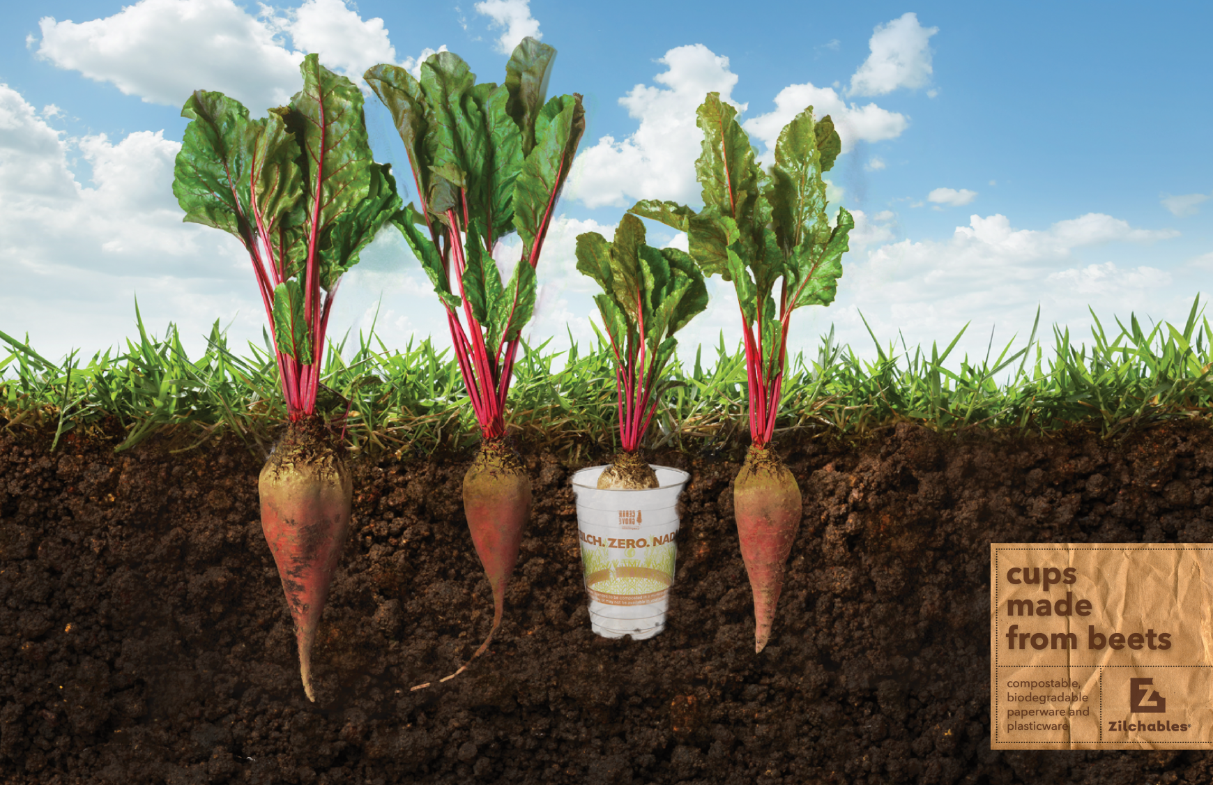 Zilchables Print Ad - Made Straight from Nature, 3