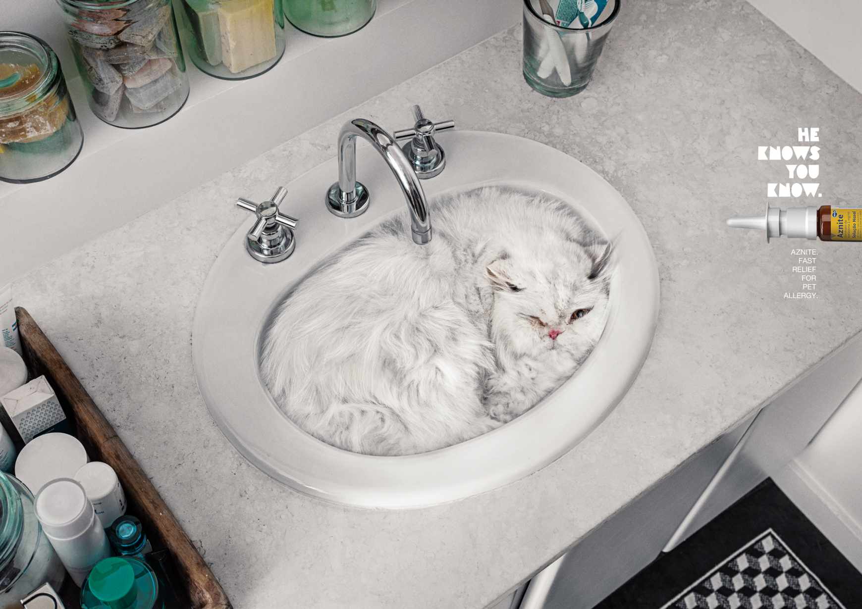 Aznite Print Ad - Cat Bath 