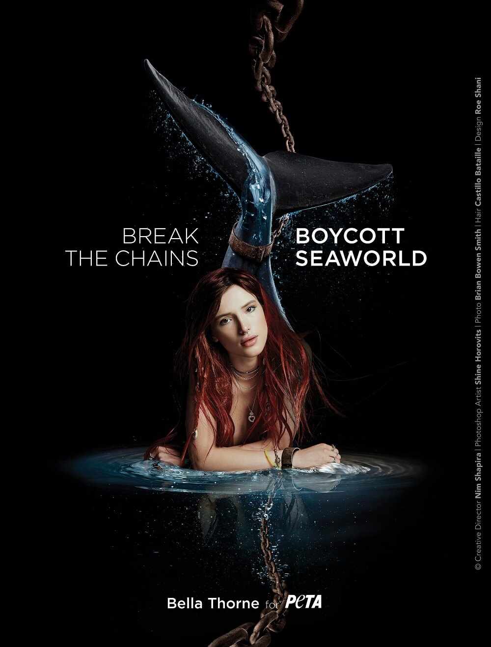 PETA Print Ad - Boycott SeaWorld