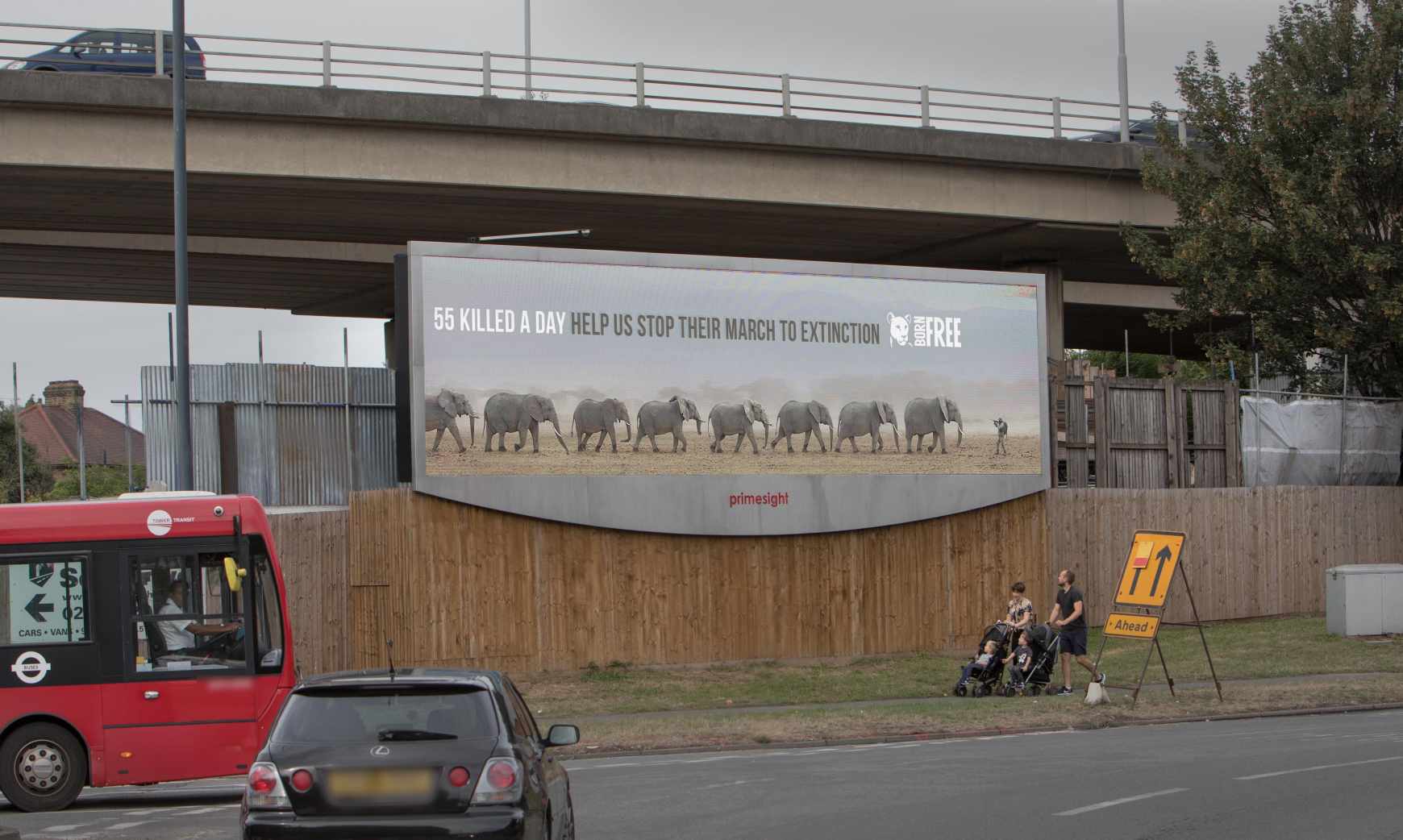 Born Free Foundation Outdoor Ad - World Elephant Day 