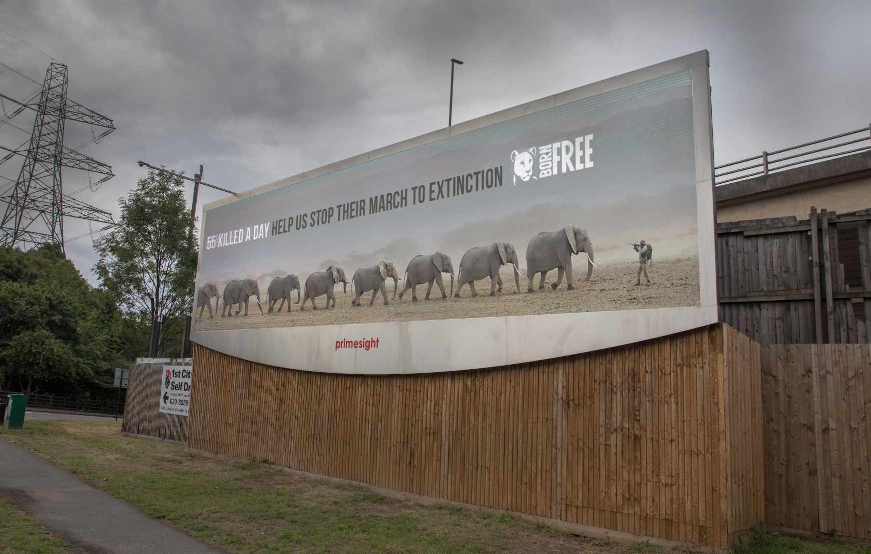 Born Free Foundation Outdoor Ad - World Elephant Day 