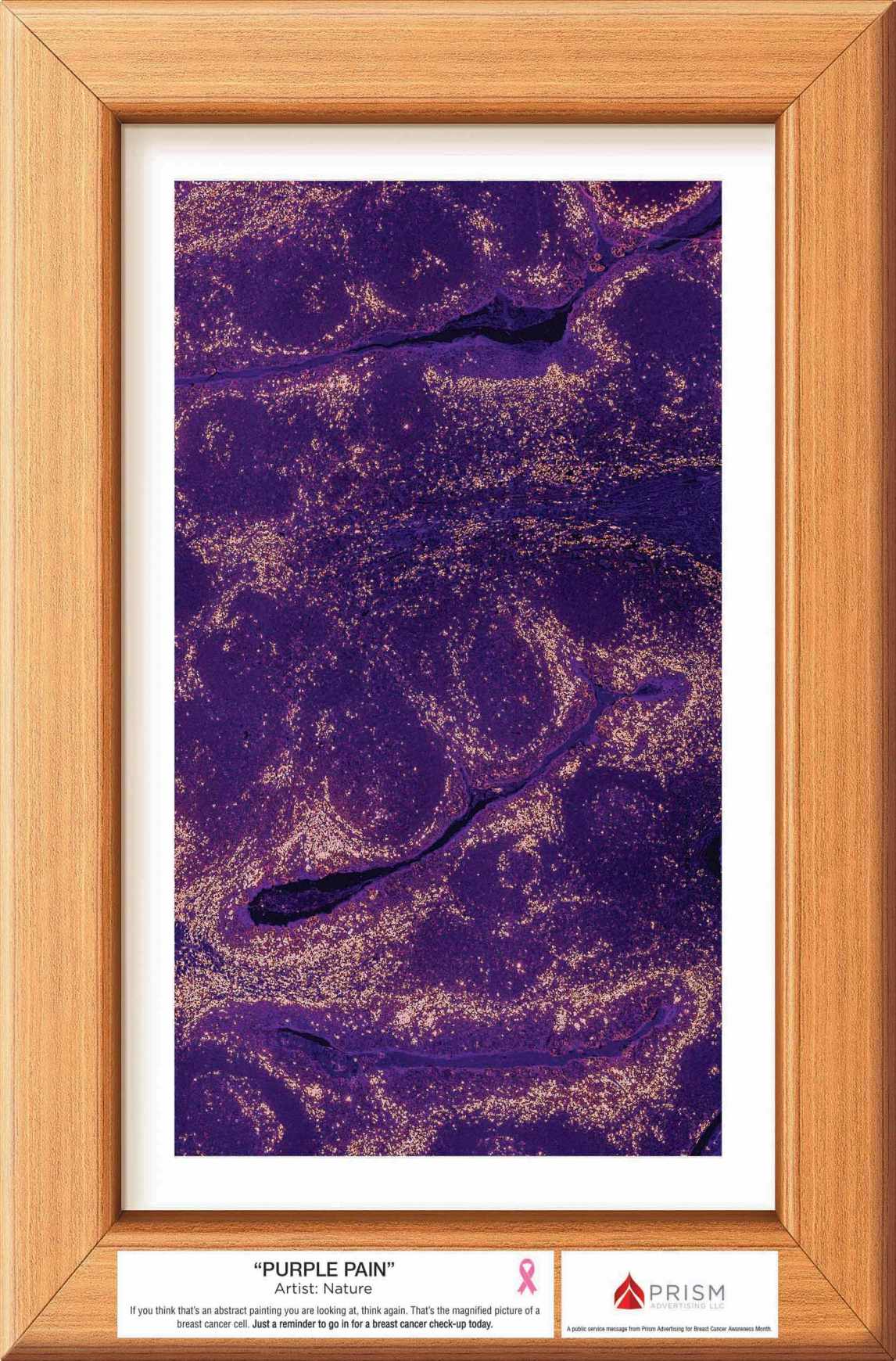 Cancer Cell Abstracts, 1 