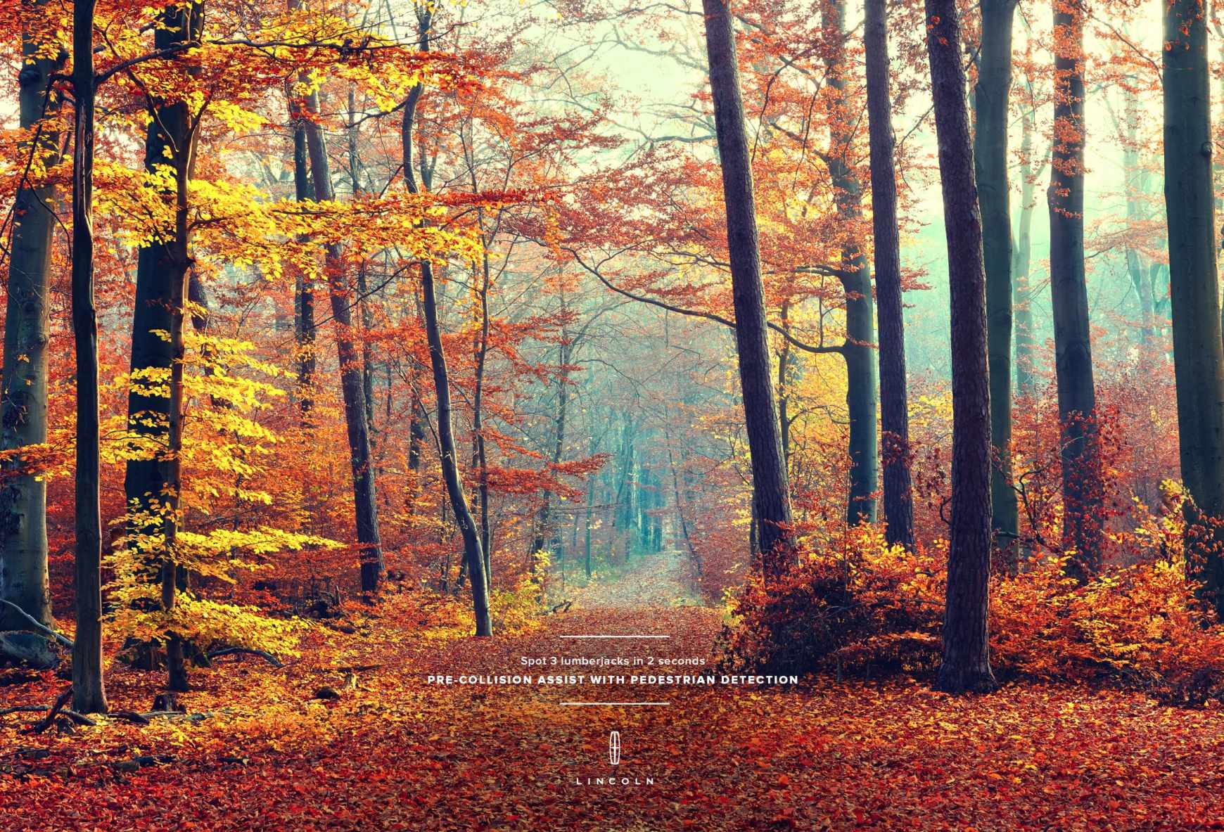 Lincoln Print Ad - Forest