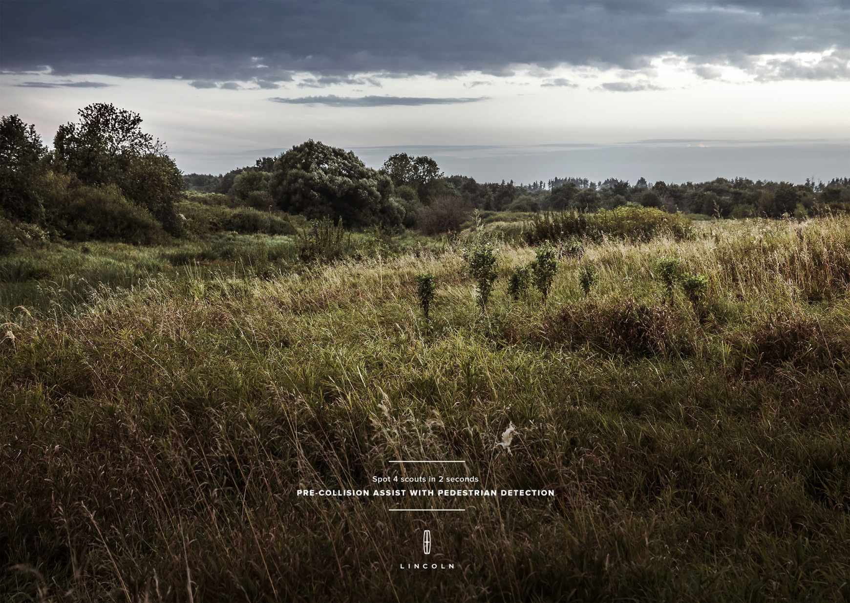 Lincoln Print Ad - Grass