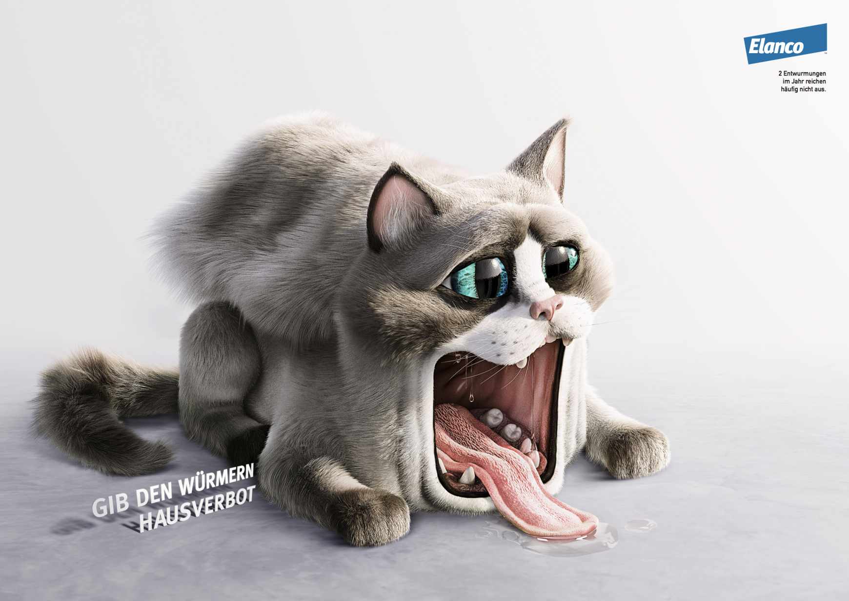 Elanco Print Ad - Pet House - Cat