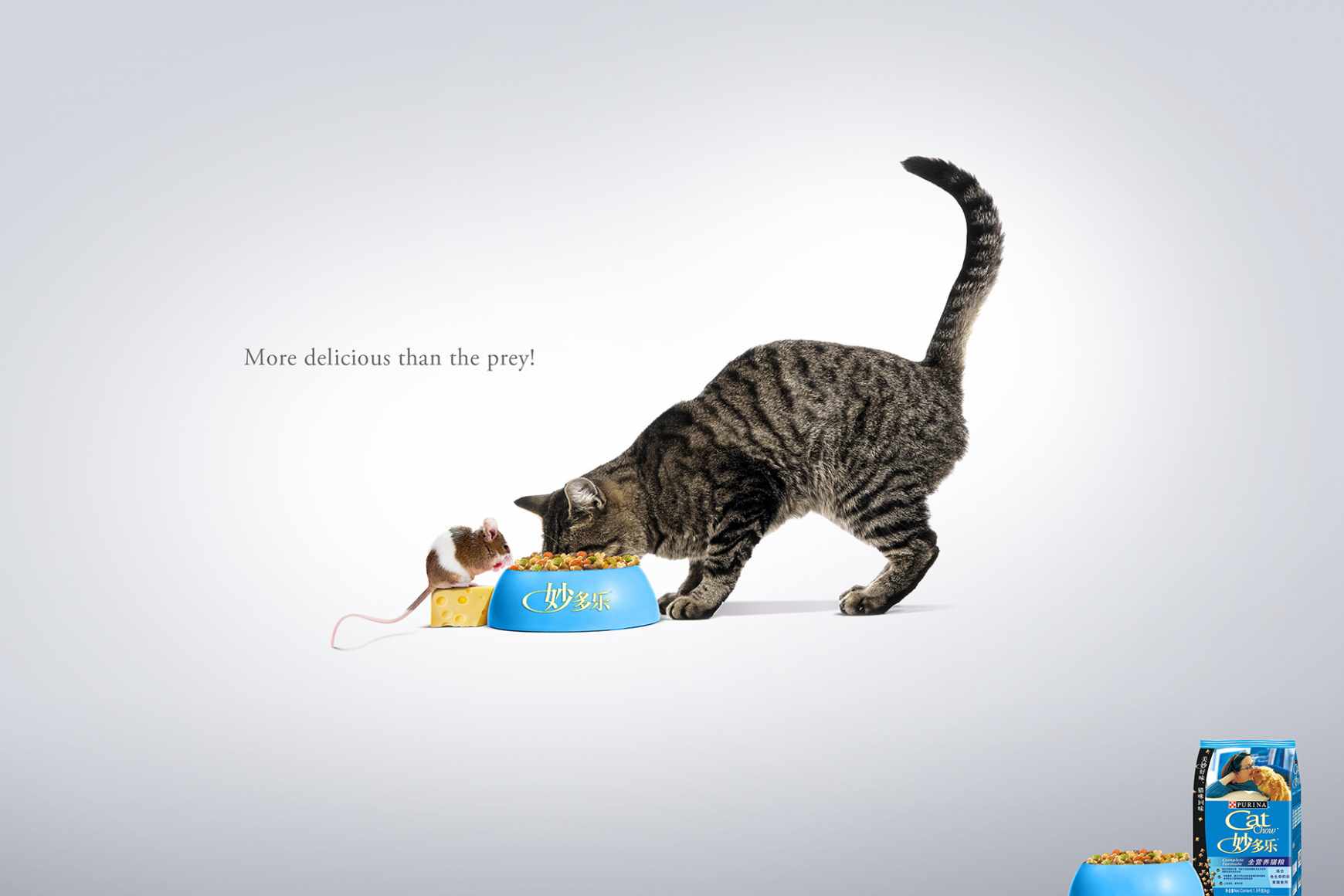 Pet food Ads of the World™