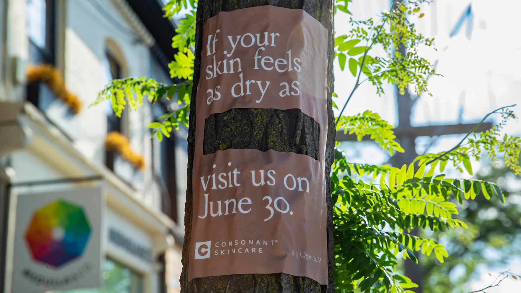 Consonant Skincare Outdoor Ad - Reskinning