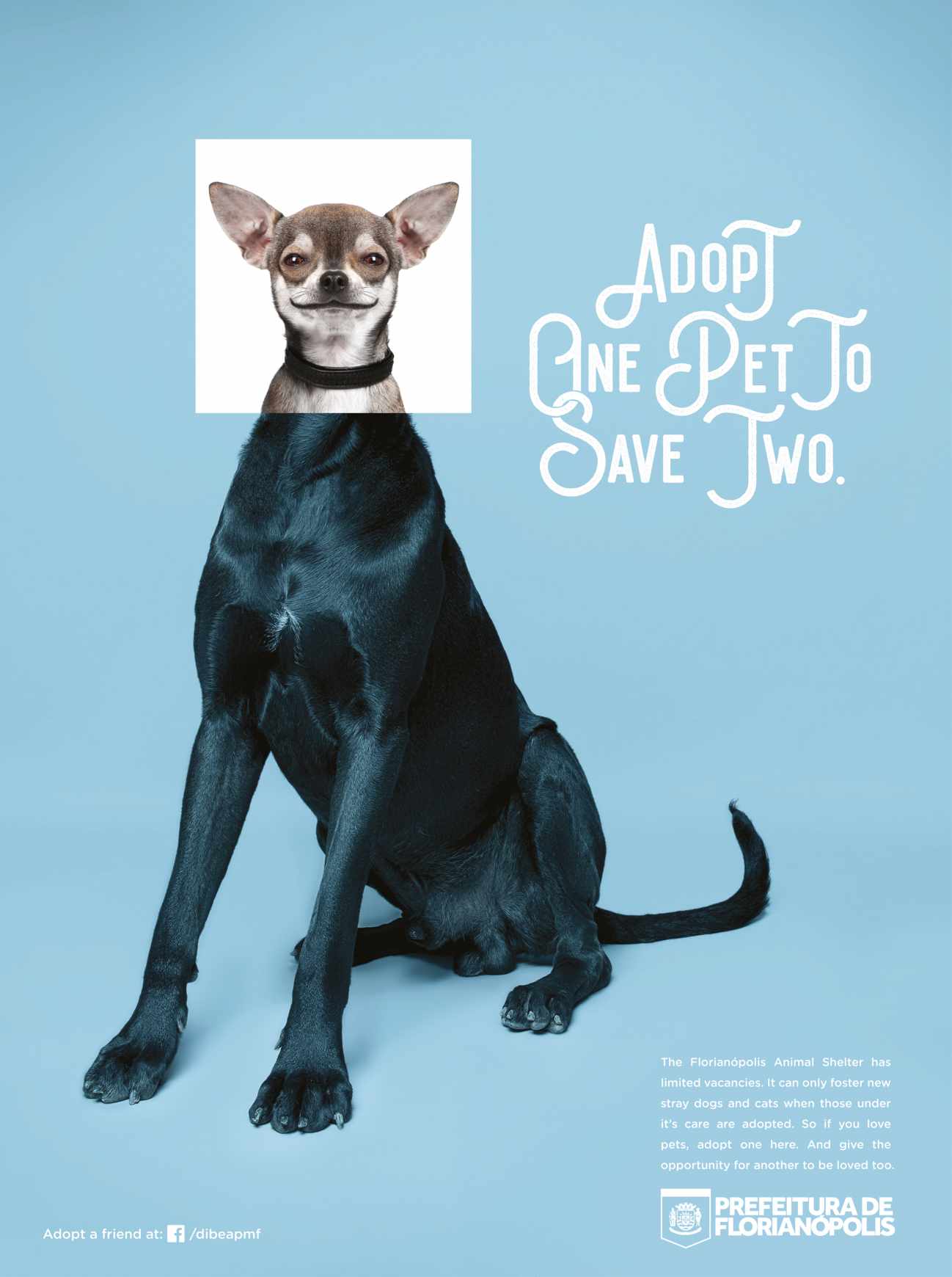 City of Florianópolis Print Ad - Pets, 1 