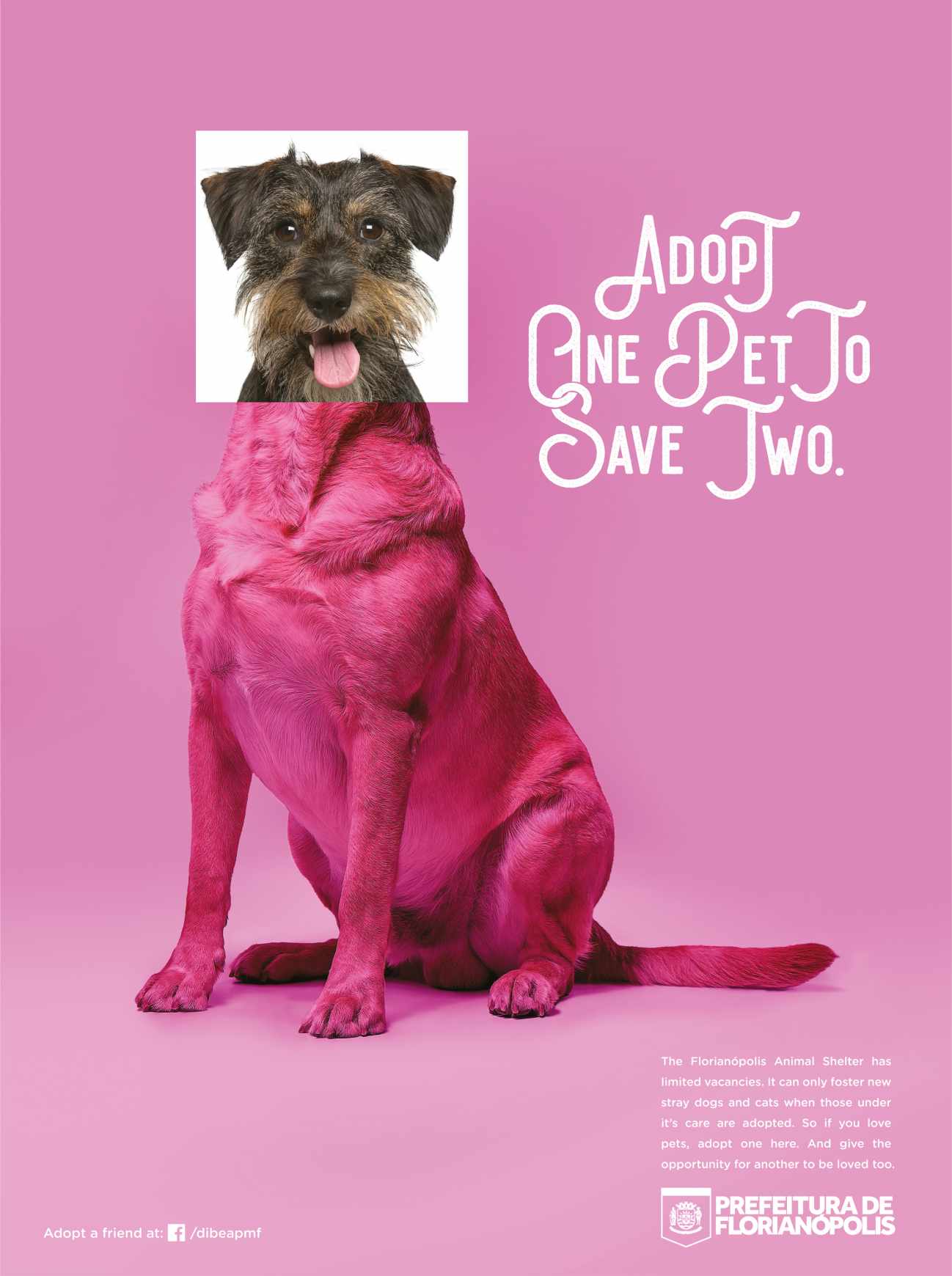 City of Florianópolis Print Ad - Pets, 2