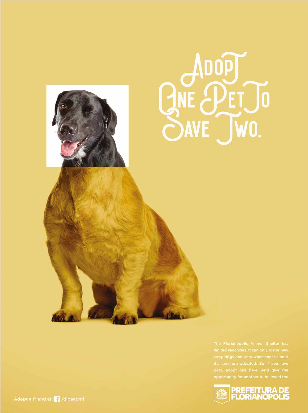 City of Florianópolis Print Ad - Pets, 3